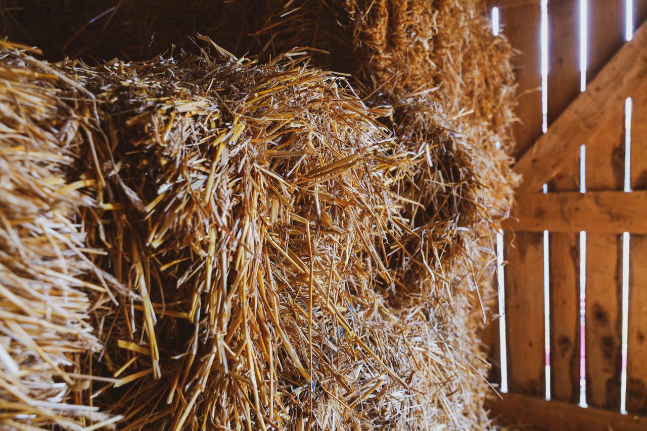 Close-up of stacked hay bales in a rustic barn setting in Croatia.