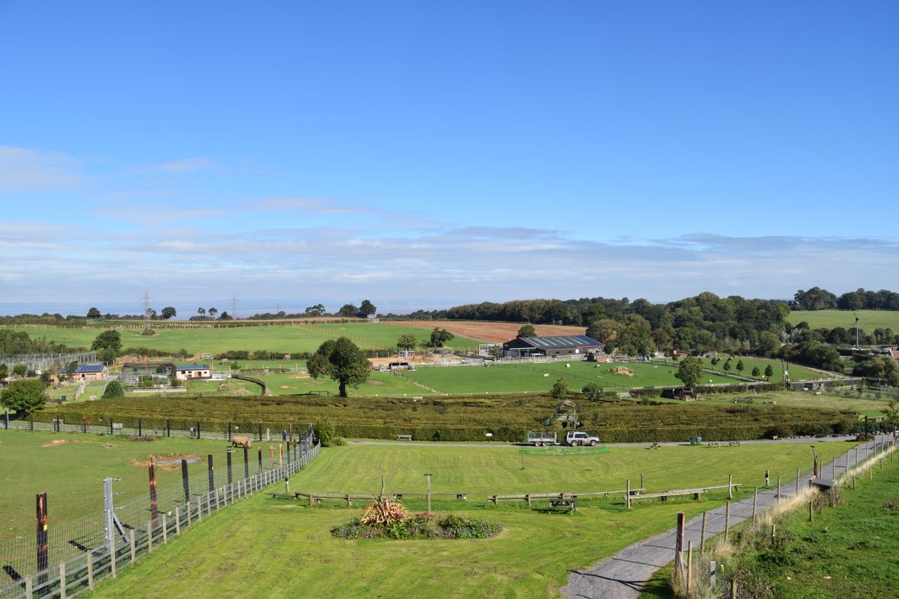 A serene panoramic view of a lush green farm countryside under a clear blue sky.